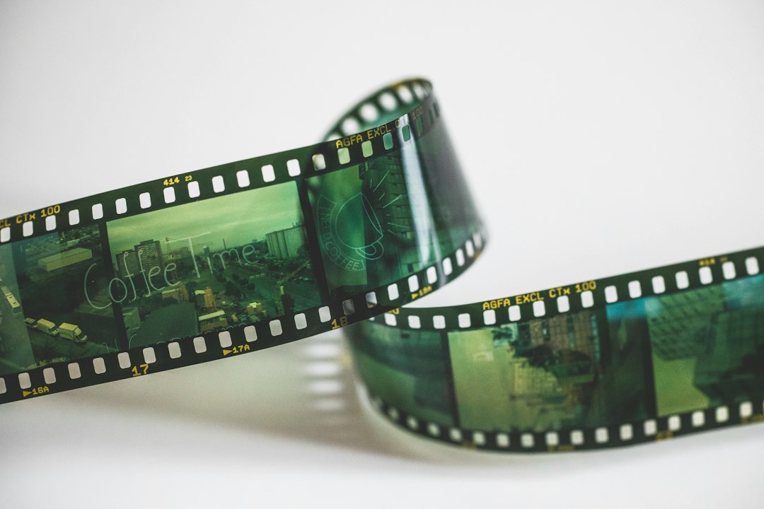 35mm film rolls and analog photography negatives organized in collection